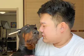 合格的护卫犬要把小孩都吓哭 #杜宾 #萌宠 #大型犬的温柔 #科学养宠攻略视频封面