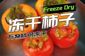 《软柿子和脆柿子都冻干了》没想到软柿子那么那么好吃！#冻干水果 #冻干技术 #柿子