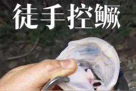 路亚人的大拇指，有懂得吗？徒手控鳜#是时候展现真正的技术了 #抖音手姿势挑战 #大富大贵 #徒手控鱼 #鳜鱼季视频封面