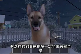 #光环助手 #逃离家暴（功能菜单-中文版）视频封面