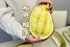 教你如何能挑到一个干包黄肉的金枕榴莲，只要一点，不开口就行