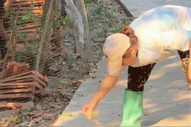 在家门口又发现一窝蚂蚁蛋，必须要把它拿下，因为太好吃了，今晚的晚餐也很丰富#2024新农人计划 #我的乡村生活 #农村日常生活 #蚂蚁蛋视频封面