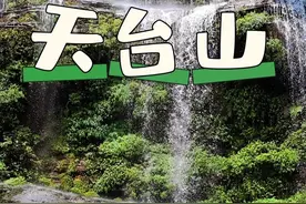 这个夏天！来场萤火虫追光之旅吧！！天台山游玩攻略来啦！视频封面