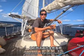 一人一狗横跨太平洋进行中#gopro拍摄 #中华田园犬#环球航行视频封面