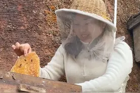 农村女孩对悬崖蜜很好奇，硬要亲自上悬崖取蜜，这整个过程真是太惊险了#新农人计划2025 #乡村味道 #乡村守护人 #悬崖蜜视频封面