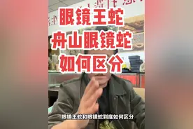 眼镜王蛇和舟山眼镜蛇到底如何区分#眼镜王蛇 #眼镜蛇#舟山眼镜蛇 #鉴定一下抖音热门生物