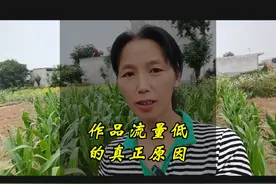 作品流量低的真正原因#新人如何做抖音 #抖音基础知识分享视频封面