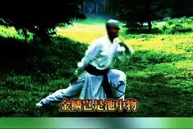 #热点 #君子应有龙蛇之变 金鳞岂是池中物 一遇风云便化龙 #少林金刚拳视频封面
