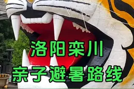 河南省钱的亲子避暑路线！一天游玩两个景点#大熊猫灵岩和迈迈