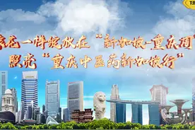 像花一样绽放在“新加坡-重庆周”，照亮“重庆中医药新加坡行”视频封面