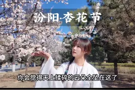 这是最能代表山西的城市，汾阳。 #山西 #春天去看花吧 #汾阳视频封面