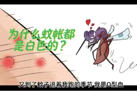 每年夏天都是我养蚊子，养肥了，飞不动了，我再打死视频封面