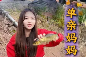 游钓鲫鱼，彝族过年，偶遇不容易的单亲妈妈 #2024dou来钓鱼 #钓鱼 #dou来钓鱼 #钓鱼的乐趣只有钓鱼人懂 #钓鱼打平伙视频封面