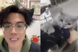 喵界调解员！别咬啦！都是主人的错#猫语十级 #喵喵大王 #科学养宠攻略视频封面