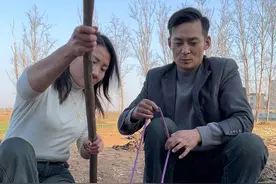 规范化科学种田，智慧耕地，方法对了，干活就快了也省劲了#看土味视频品百味人生 #干活我是认真的 #专业的人做专业的事 #蔡有才视频封面