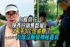 与辉同行陕西行销售数据，4天3亿或悬了，为啥没腕级神秘嘉宾视频封面