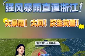 竹节草直扑华东，注意防台防汛 #台风竹节草 #台风竹节草直扑华东 #台风 #降雨