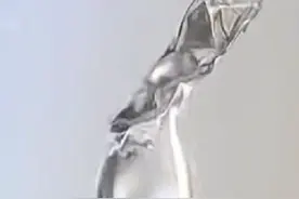 绝大部分人没有见过，这种从树干中流出的神秘液体视频封面