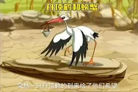 一条水沟突然变得干旱，缺水的螃蟹无法生存想要逃离这里。视频封面