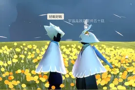 “向日葵精灵会兑现她的诺言”#光遇 #光遇投稿 #光遇追光计划