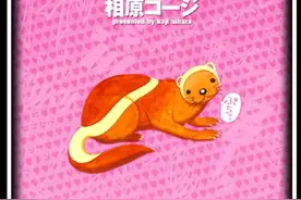 【动物大战】19 大象VS狼獾 狼獾竟占得优势？ #动漫推荐