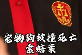 宠物狗未拴狗绳被撞死亡，司机需要赔偿吗？法院判了...#抖来普法2023#政务原创作者联盟 #狗视频封面