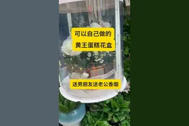 香烟蛋糕盒花束教程，怎么制作呢？ 简单做一个独一无二的芙蓉王蛋糕花盒，送男朋友送老公送女朋友#人间富贵花蛋糕的做法 #香烟  #送男朋友礼物 #花盒教程 #张家界花店哪家好视频封面