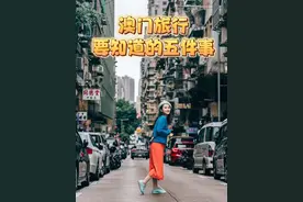 #头号攻略玩家 一年去了四次澳门视频封面