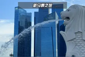 作为一个城市和国家的新加坡，面积虽然只有上海的九分之一视频封面