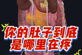 你的肚子到底是哪里在疼？腹痛的位置 #腹痛 #宫外孕 #内容启发搜索 #胃溃疡 #硬核科普健康行动