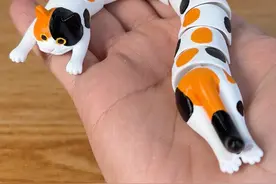 3D打印喵，一个比一个抽象！ #3d打印 #3d打印耗材 #polymaker视频封面