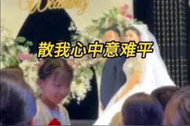 希望你永远不懂这首歌的词#遗憾#意难平