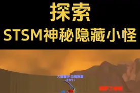 斯坦索姆神秘隐藏小怪！#魔兽世界 #魔兽世界二十周年 #艾泽拉斯的秘密