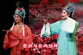 张杭英吕芳芳《梁祝》草桥结拜海宁越剧团株松村演出现场拍摄视频封面