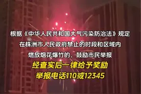 违反烟花爆竹禁限放行为，举报有奖！ #烟花 #株洲视频封面
