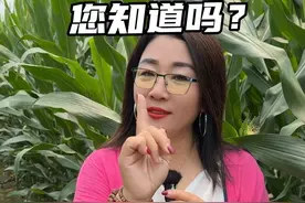 甲维盐能杀哪些虫子？ #我要上热门话题 #支持三农扶持三农发展 #玉米 #玉米种植 #三农种植视频封面