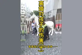 离婚对孩子的伤害(十)之妈妈的思念 #马面裙 #离婚后 @迪凯写意艺术女装视频封面