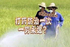 懂农药管理条例，以及农药、病虫害防治知识点。自用/指导全不怕视频封面