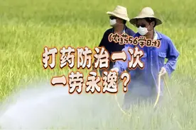 懂农药管理条例，以及农药、病虫害防治知识点。自用/指导全不怕视频封面