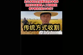 杂交水稻在巴基斯坦迎来丰收季节，他们依然保留着传统收割习惯 #小代在巴基斯坦 #换种方式记录生活 #海外生活 #丰收的季节 #又到了秋收的季节了