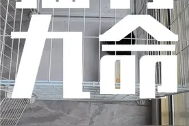 猫从16楼掉下去 结果会怎样？#喵星人 #猫咪 #猫跳楼 #猫屎咖啡 #猫视频封面