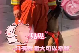 传出去：夺魁牵不走#南京消防 #搜救犬 #狗狗的日常 #小狗狗能有什么坏心思 #蓝朋友视频封面