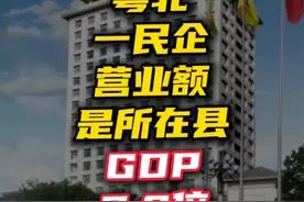 粤北一民营企业入榜2024广东民营企业百强榜单第15位视频封面