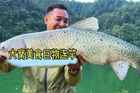 打大窝，搞美食，巨物连竿，这是一期有质量的视频各位大哥#原来钓鱼才是抖音运动顶流 #2024dou来钓鱼 #dou是钓鱼人 #钓鱼视频封面