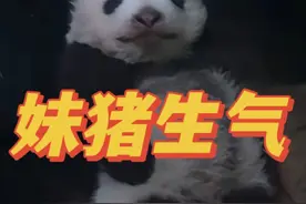 听到大良奶爸的带娃提醒，菊萌萌紧急撤回了一个猫头视频封面