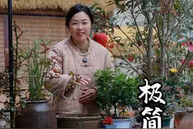 最后你会发现，养鱼的尽头是裸缸！花里胡哨的生态缸只会耗费你大量的时间和金钱，还不一定能把鱼养好#生态缸 #鱼缸 #古法养鱼 #我的乡村生活 #小院改造视频封面