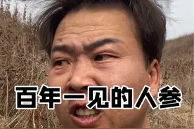 对不起我真不知道啊#搞笑 #人参 #东北视频封面