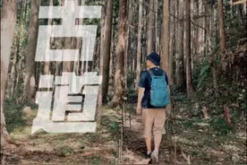 熊野古道 #交换世界计划 #人生旅行清单 #听导游讲故事有多上头视频封面