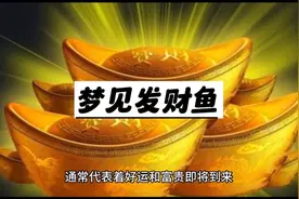 梦见鱼的6种征兆要发财！！视频封面