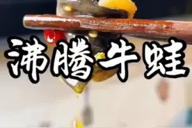 沸腾牛蛙 今天做了一道穿着衣服的沸腾牛蛙，做出来都说害怕不敢吃，我也是不解，你们怎么说#他乡美食也有年味 #内容启发搜索 #抖音美食推荐官 #多好个男娃儿 #沸腾牛蛙视频封面